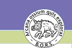 BORS