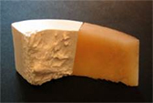 Bone composition
