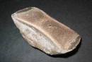 Image: Fossil bone