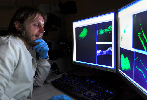 Dr Neil Mackenzie